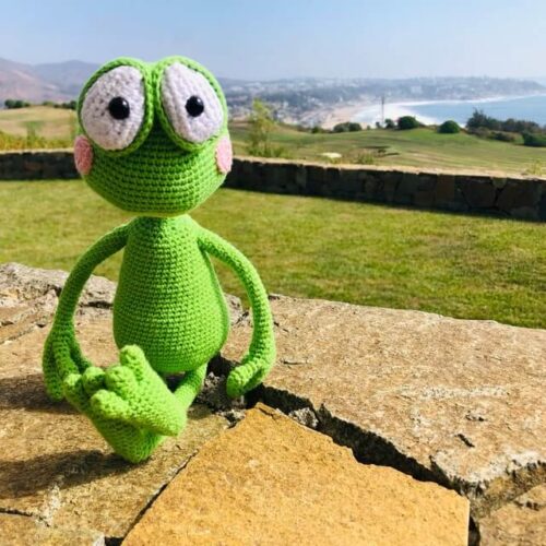 Cute Frog Crochet Pattern photo review