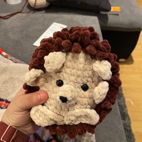 Hedgehog Crochet Pattern photo review